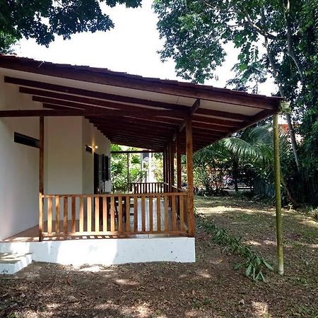 Green Papaya Villa Puerto Viejo de Talamanca Екстериор снимка