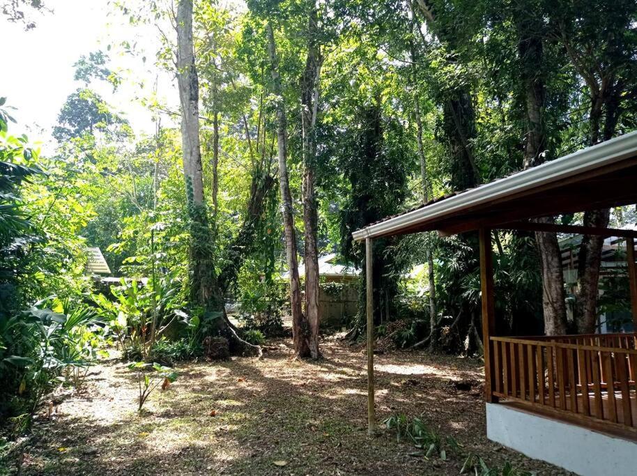 Green Papaya Villa Puerto Viejo de Talamanca Екстериор снимка