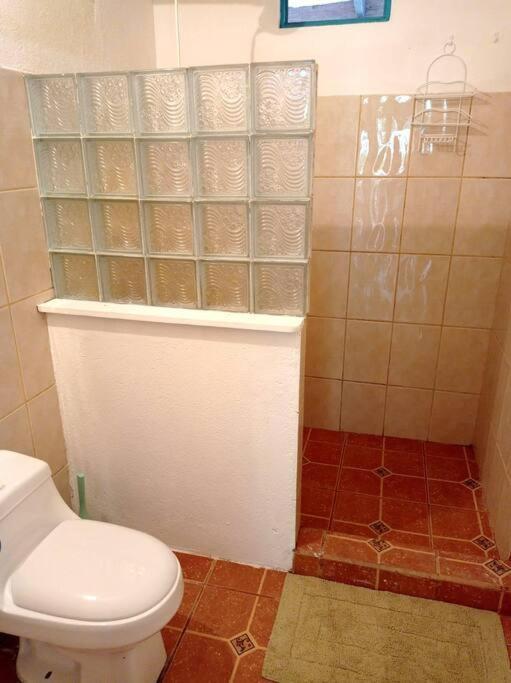 Green Papaya Villa Puerto Viejo de Talamanca Екстериор снимка