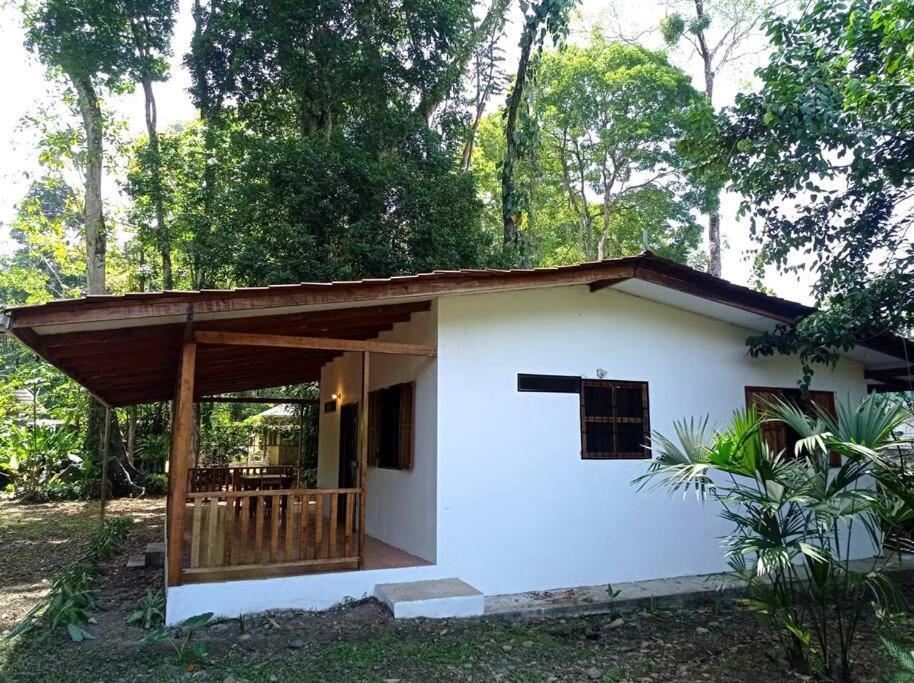 Green Papaya Villa Puerto Viejo de Talamanca Екстериор снимка