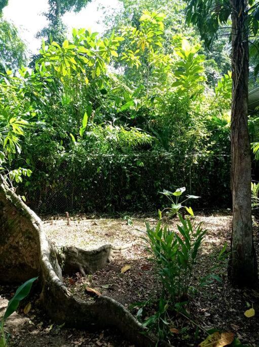 Green Papaya Villa Puerto Viejo de Talamanca Екстериор снимка