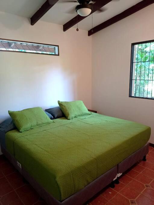 Green Papaya Villa Puerto Viejo de Talamanca Екстериор снимка